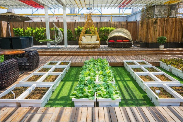 Hardscape Design: Everything You Need to Know